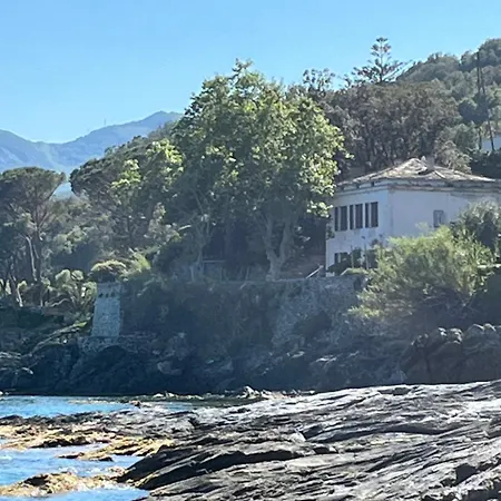 Hugo Villa Brando