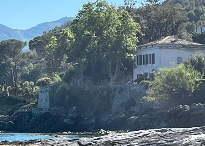 Hugo Villa Brando